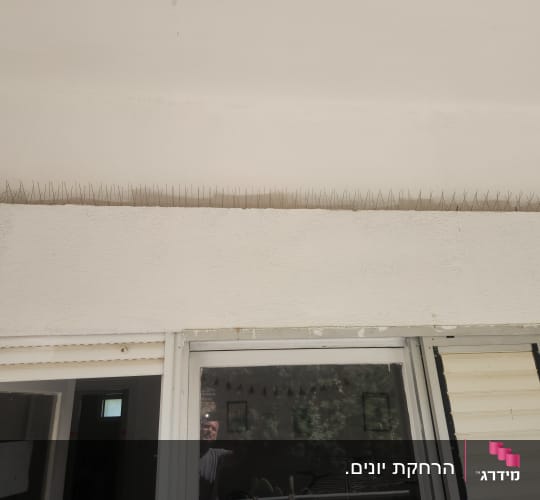 דוקרנים למניעת יונים על קיר חיצוני